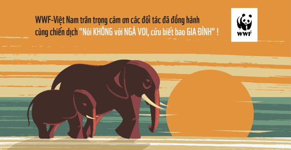 Infographic về bảo vệ voi và động vật hoang dã