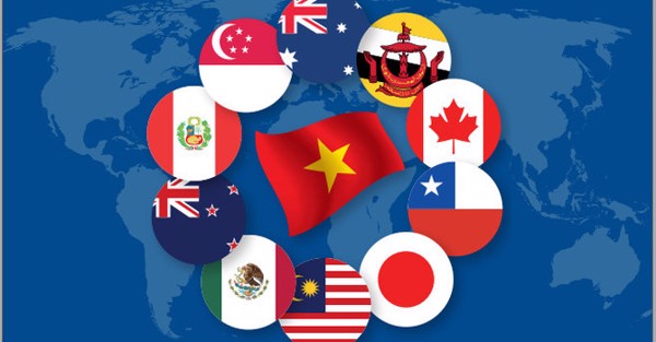 Thủ tướng phê duyệt Kế hoạch thực hiện Hiệp định CPTPP