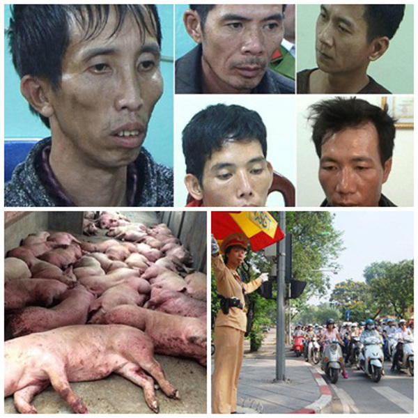 Chỉ đạo, điều hành của Chính phủ, Thủ tướng Chính phủ nổi bật tuần từ 18-22/2/2019