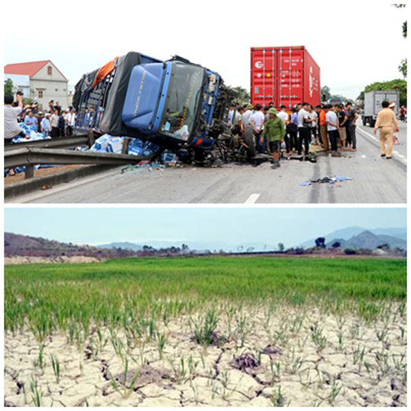 Chỉ đạo, điều hành của Chính phủ, Thủ tướng Chính phủ nổi bật tuần từ ngày 22 đến ngày 26/7/2019