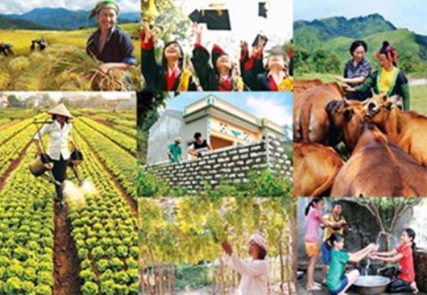 Tiêu chí xác định xã, thôn hoàn thành mục tiêu Chương trình 135