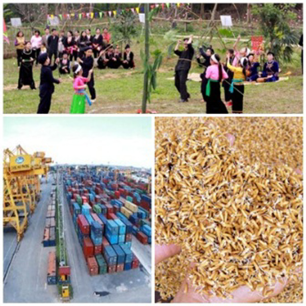 Chỉ đạo, điều hành của Chính phủ, Thủ tướng Chính phủ nổi bật tuần từ 8-12/1